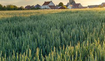 Brandgevaarcode GEEL voor natuurbranden